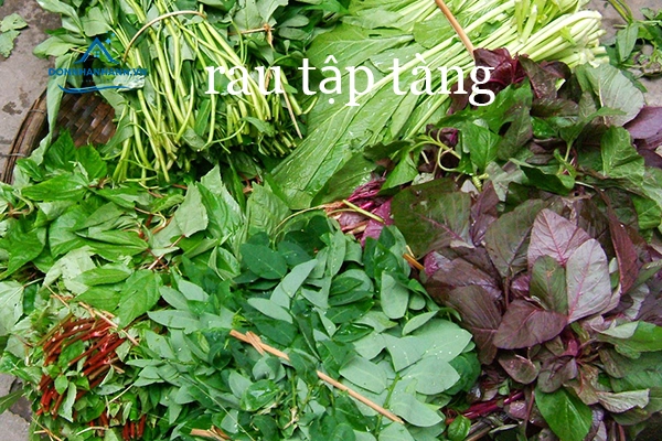 Cách nấu rau tập tàng (tạp tàn) ngon bổ rẻ giúp giải nhiệt ngày hè sơ chế sạch các nguyên liệu